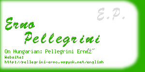 erno pellegrini business card